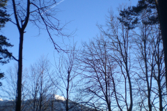 2006-02-07-16.30.53