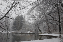 2019-01-30-15.25.29-1