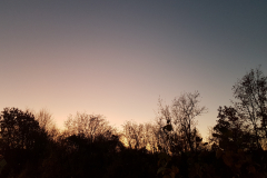 2019-12-04-16.56.21