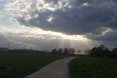 2020-04-19-19.19.38