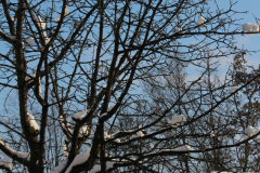 IMG_6824